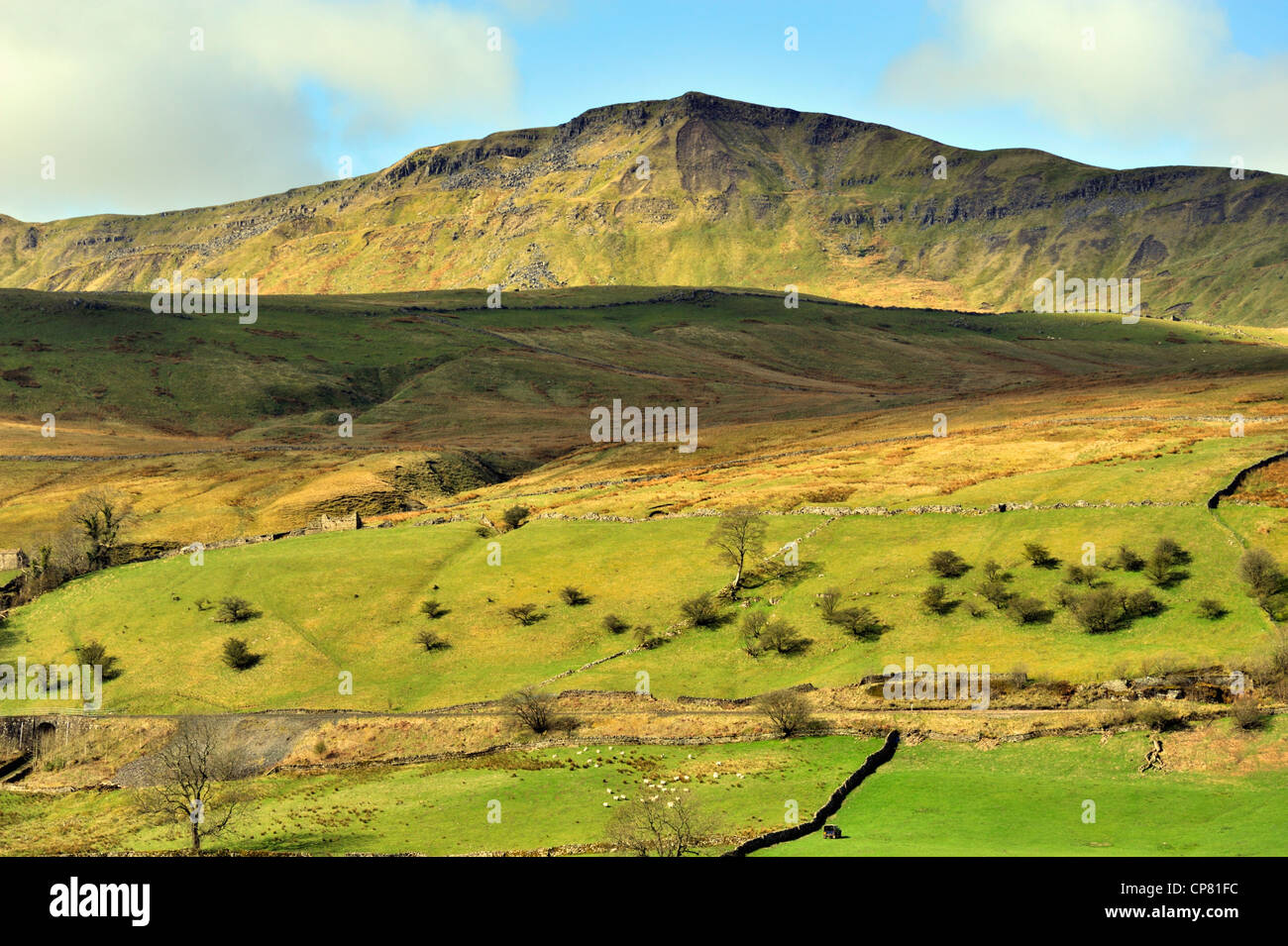 Wildschwein fiel. Mallerstang, Yorkshire Dales National Park, Cumbria, England, Vereinigtes Königreich, Europa. Stockfoto