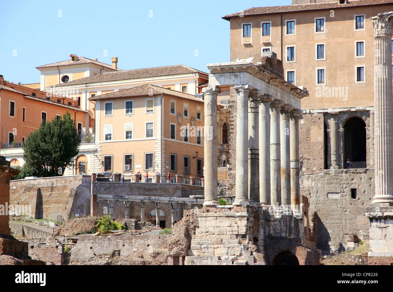 Ruinen des Forum Romanum Stockfoto