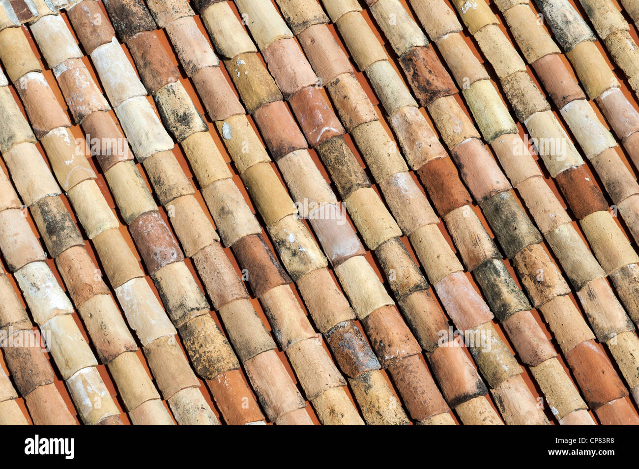 Dachpfanne Terrakotta Dach, Europa Stockfoto