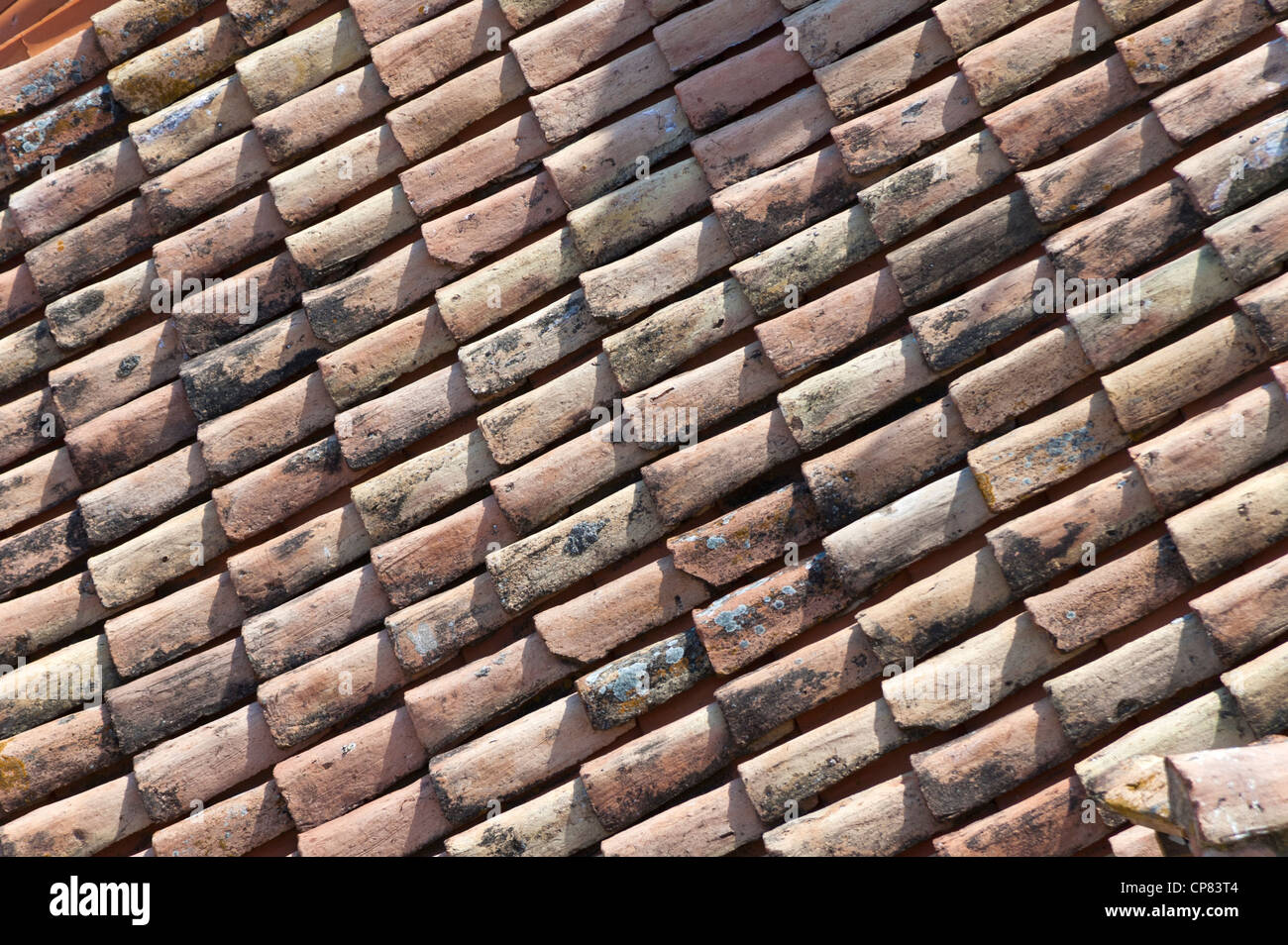 Dachpfanne Dachziegel, Europa Stockfoto