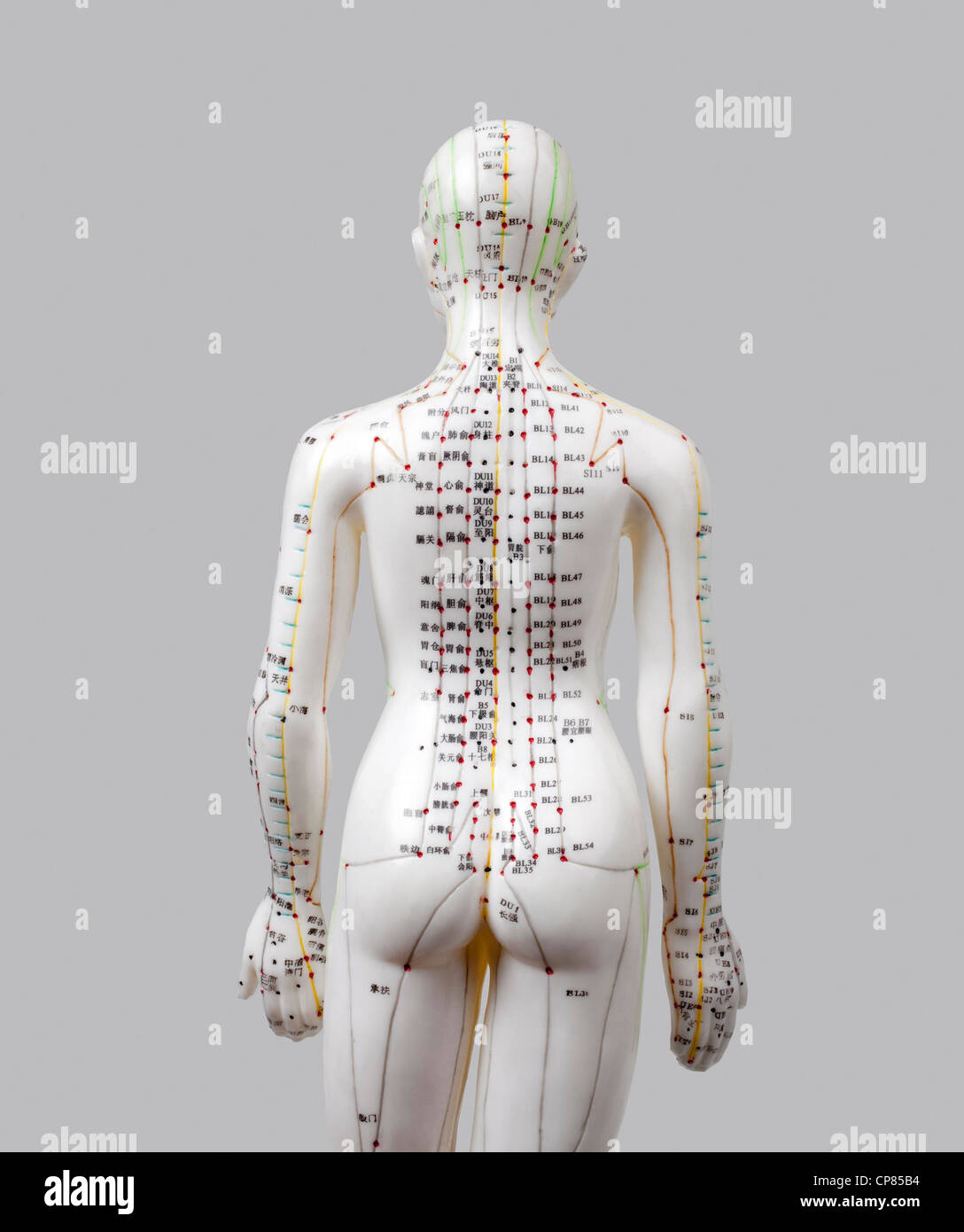Ein weibliches Modell mit markierten Akupunkturpunkte, chinesischen Schriftzeichen auf den Meridianen, traditionelle chinesische Medizin; Ein weibliches Stockfoto