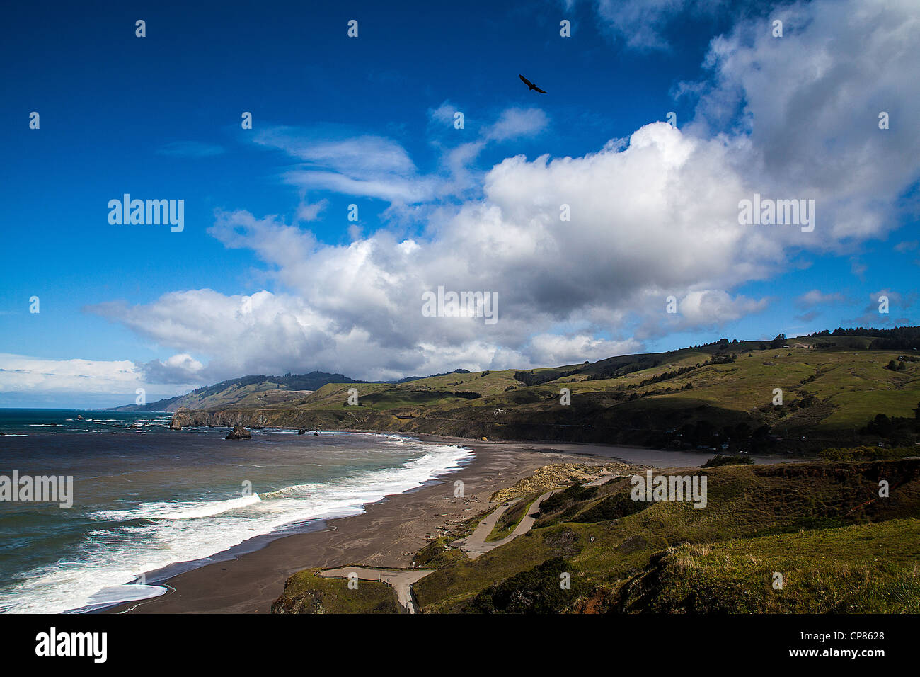 Die Mündung des Flusses Russisch von Goat Rock State Beach in Sonoma County an der kalifornischen Küste Stockfoto