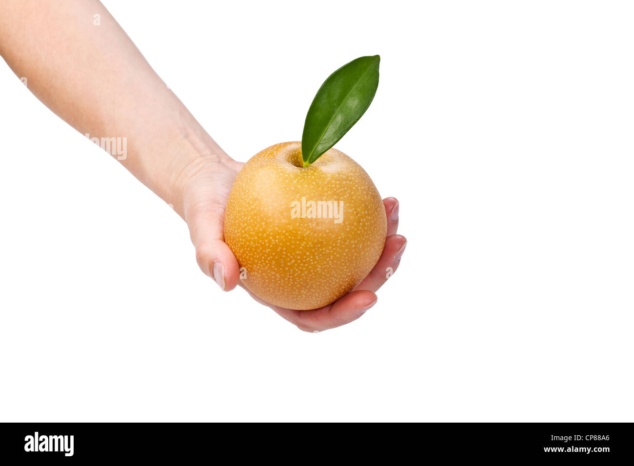 Einzelne Hand mit Apfel-Birne auf weißem Hintergrund Stockfoto