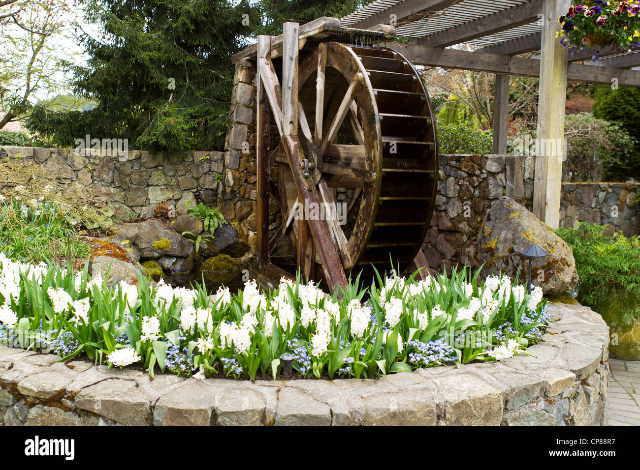 Alte Wassermühle mit Wasser laufen in Blume-Teich Stockfoto