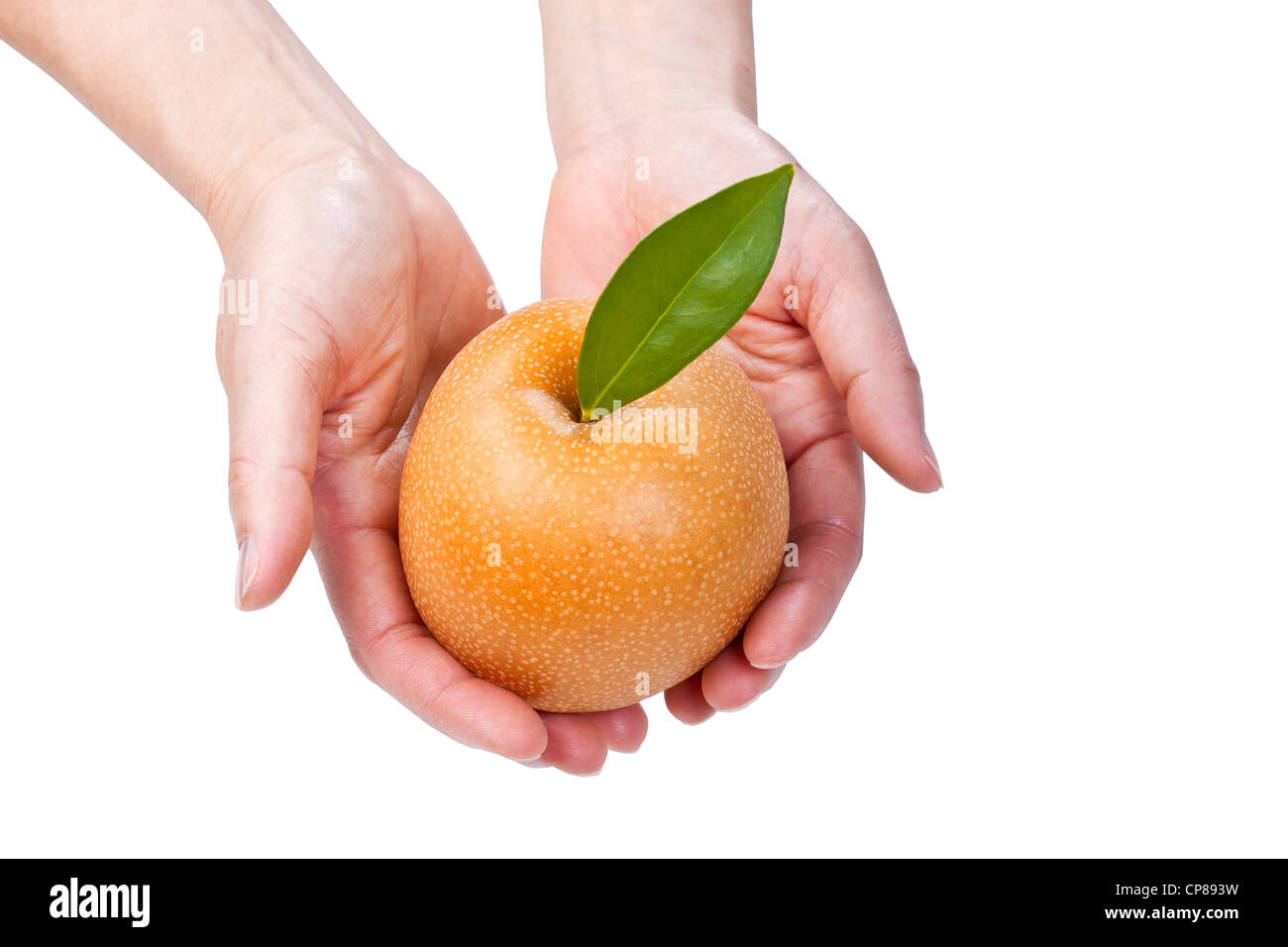 Frischer Apfel-Birne statt mit öffnen Hände auf weißem Hintergrund Stockfoto