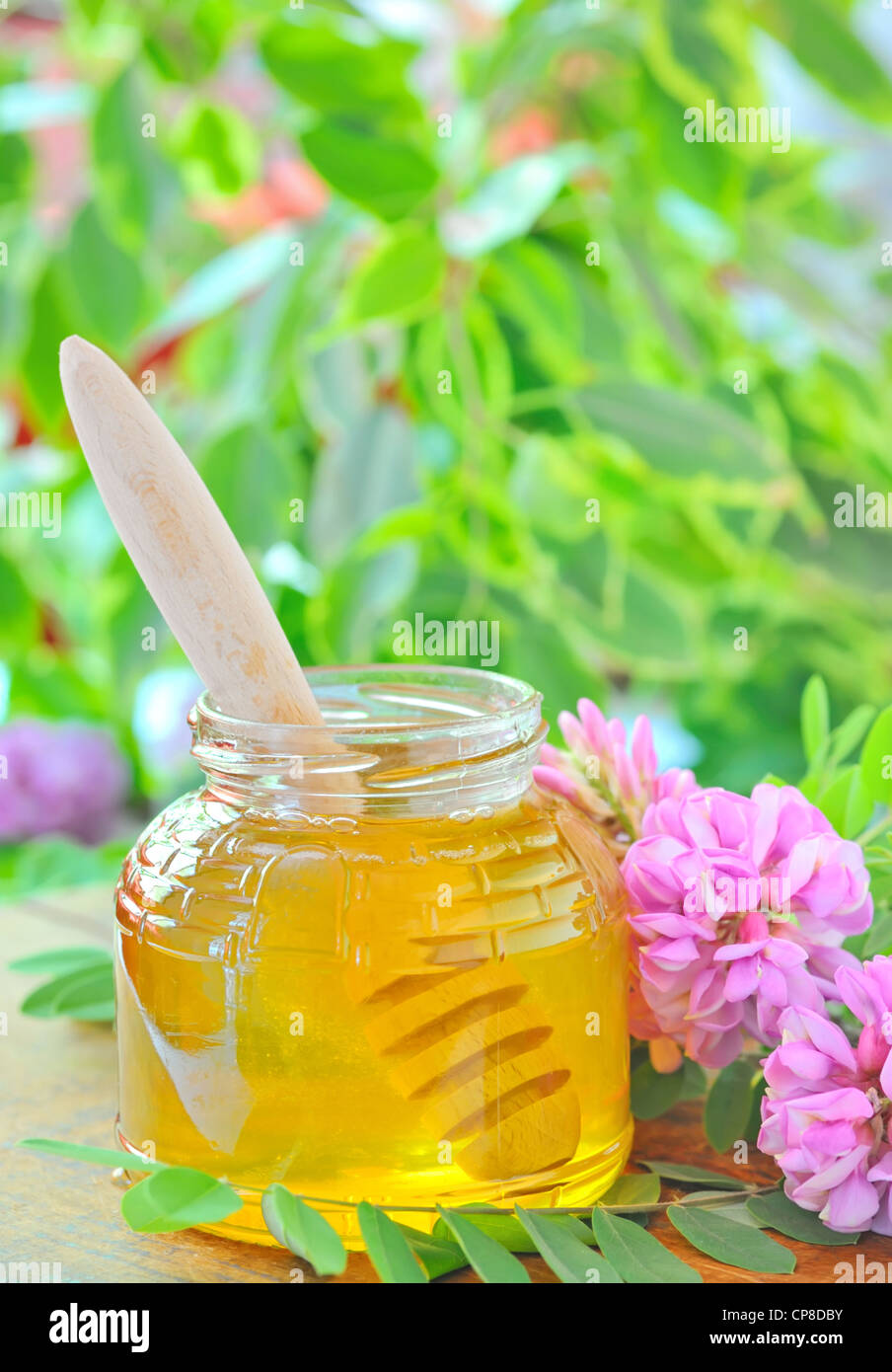 Glas voller Honig und Stick mit rosa und weißen Akazienblüten Stockfoto