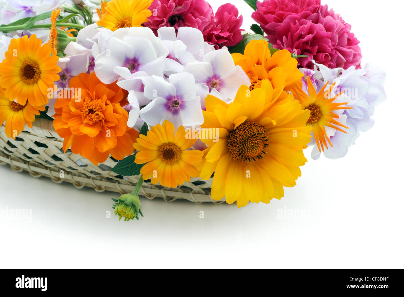 Sommer frische Blumen in einem Korb isoliert auf weißem Nahaufnahme Stockfoto