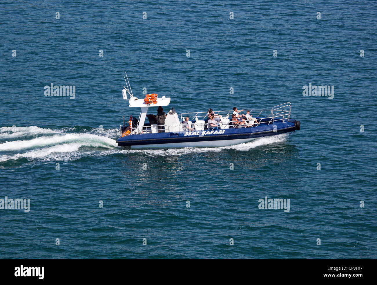 Safari Reise nach Tenby South Wales zu versiegeln Stockfoto