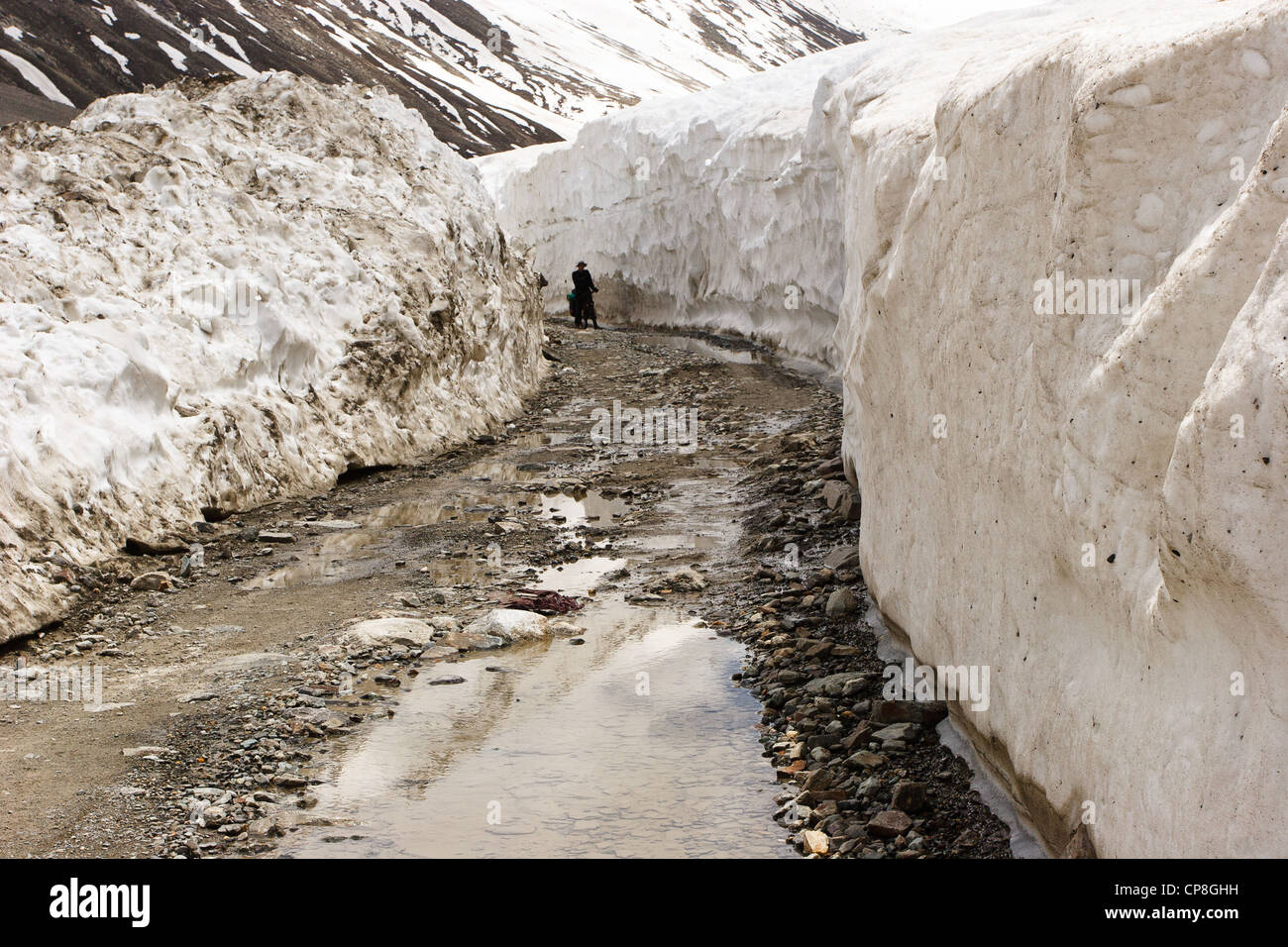 Radfahrer auf der Straße in Lahaul Tal (Straße ist immer noch für den Verkehr gesperrt). Umgeben von Schnee Stockfoto