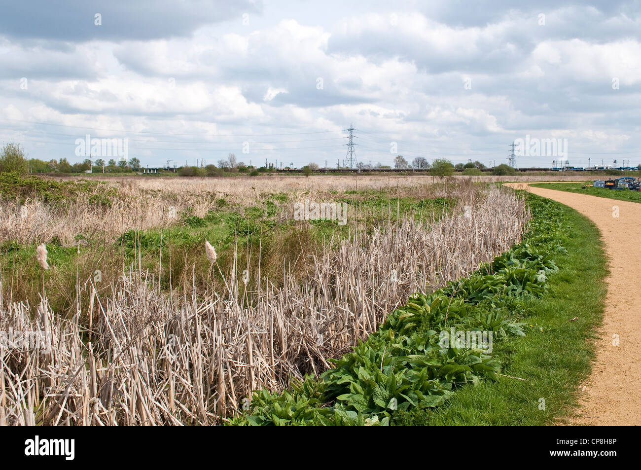 Walthamstow Marsh Nature Reserve und Industrielandschaft, London, UK Stockfoto