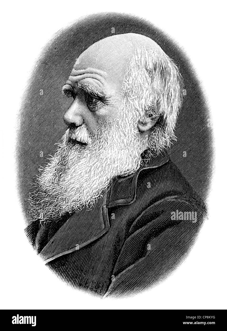 Charles Robert Darwin, 1809-1882, ein britischer Naturforscher, Evolutionstheorie, Historische Zeichnung aus Dem 19. Halbmonatsschrift, Po Stockfoto