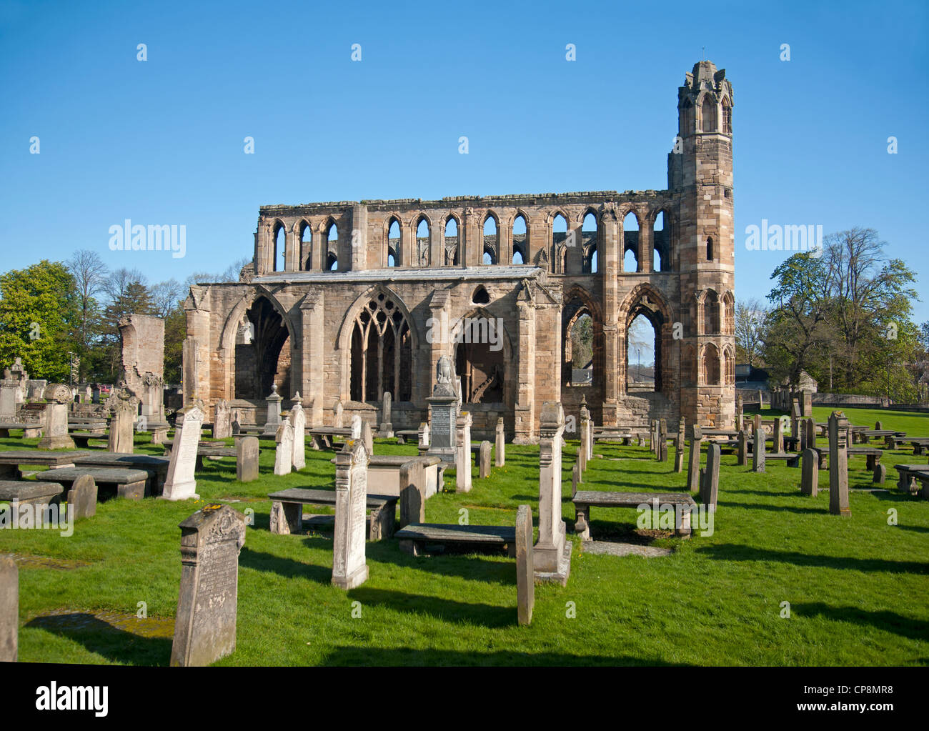 Elgin Cathedral, Moray, Grampian Region. Schottland.  SCO 8216 Stockfoto