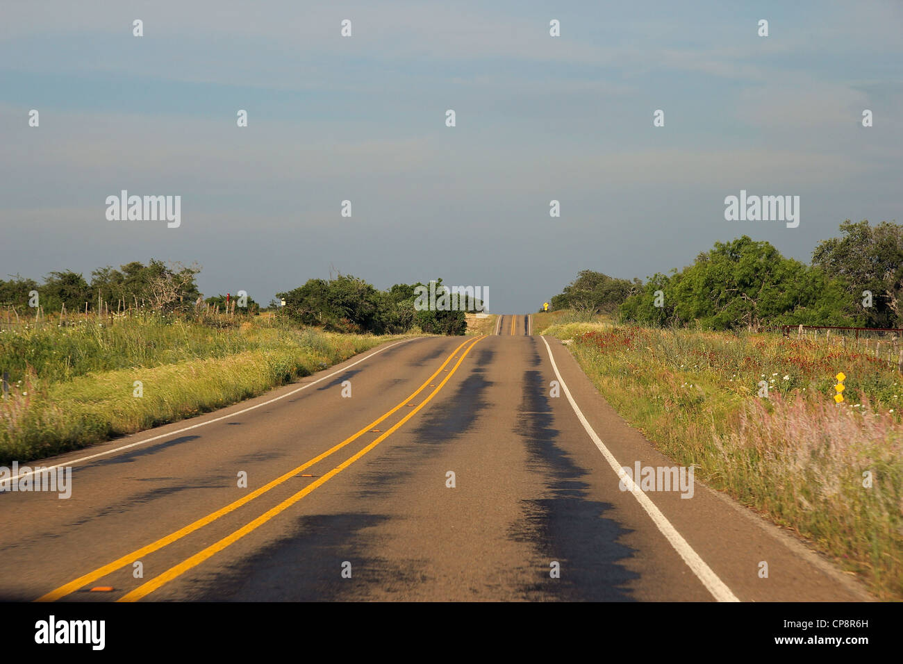 Ein Frühling-Blick auf eine Straße durch den Hill Country, Texas, USA Stockfoto