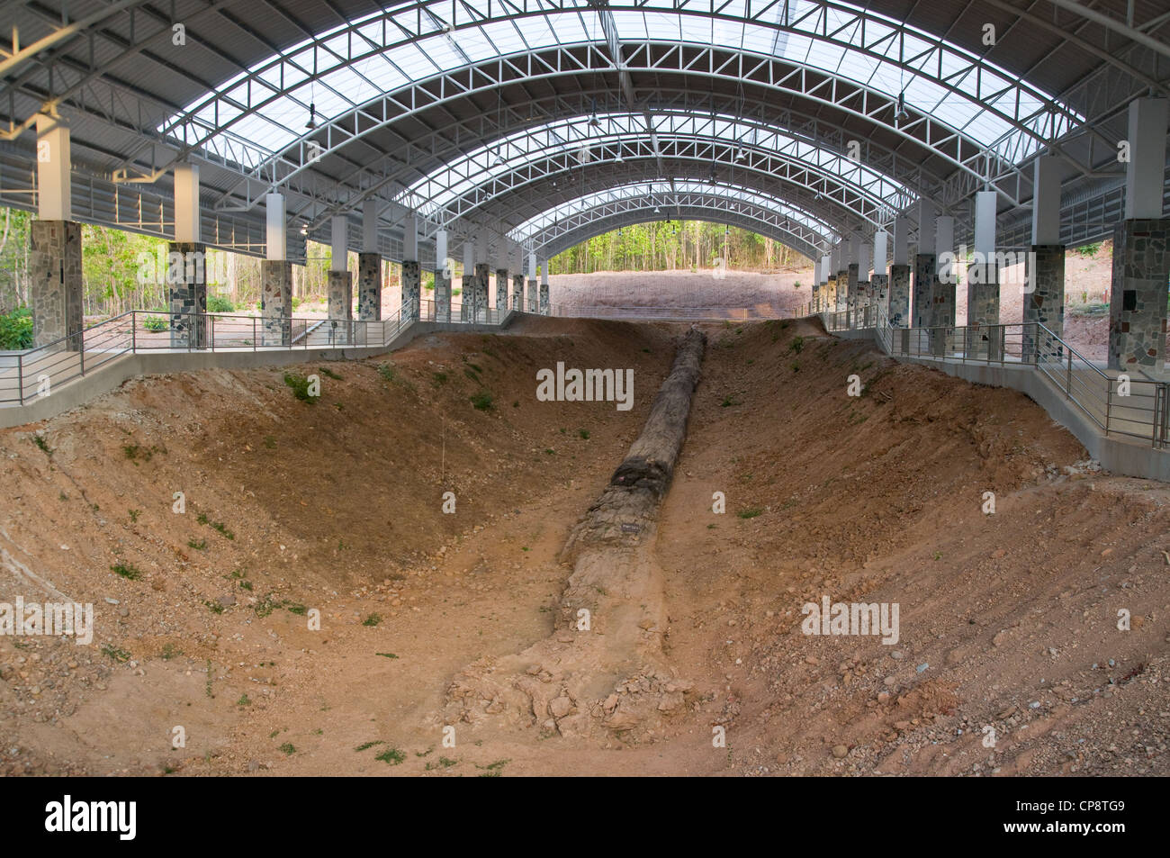 Versteinertes Holz auf dem Display in der Provinz Tak, Thailand. Stockfoto