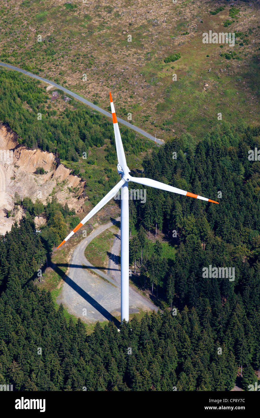 Europa, Deutschland, Nordrhein-Westfalen, Blick auf die Windmühle im Wald Stockfoto