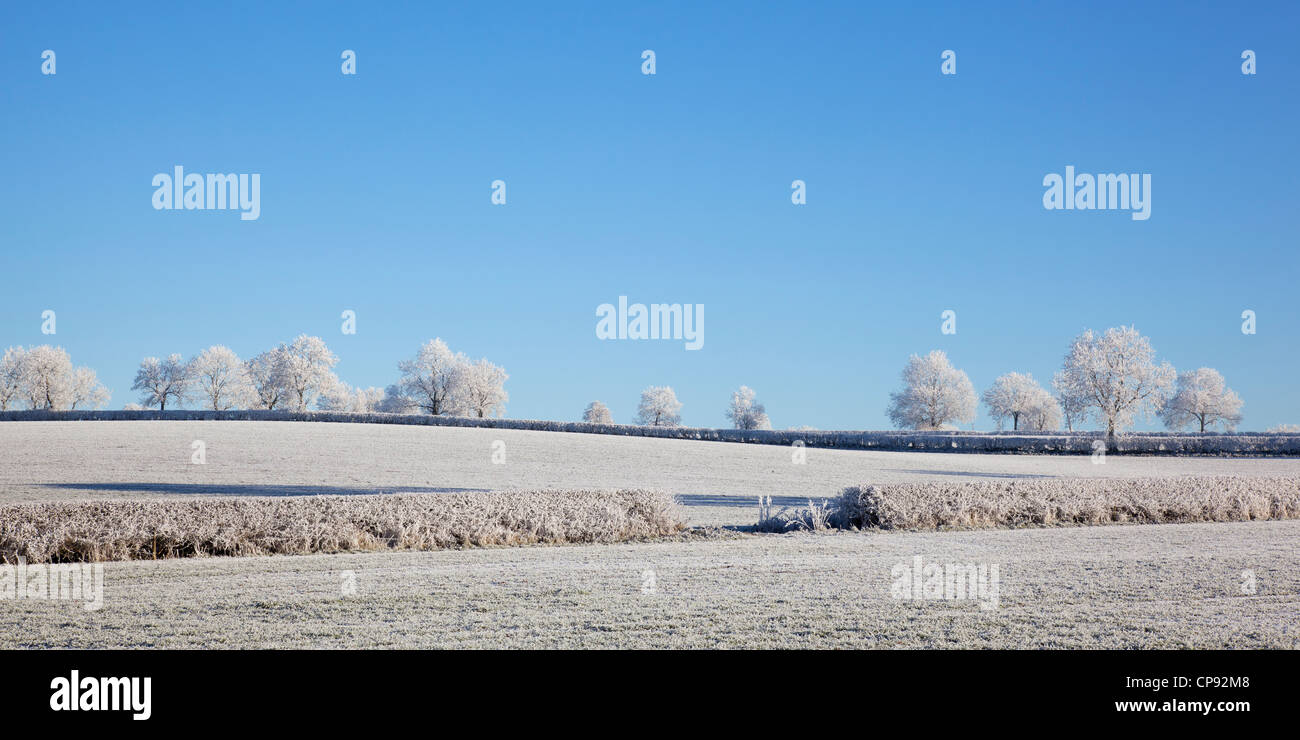 Raureif hat die Landschaft in dicken Raureif verwandeln sie in ein Wintermärchen, Welford, Northamptonshire, Großbritannien beschichtet. Stockfoto