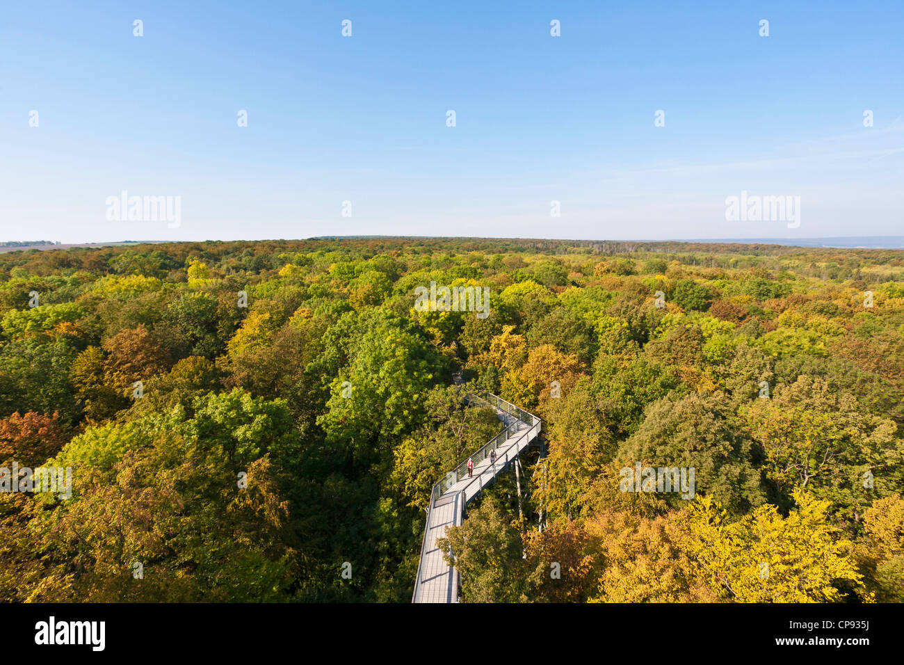 Deutschland, Thüringen, Hainich, Ansicht des Nationalpark Hainich Stockfoto