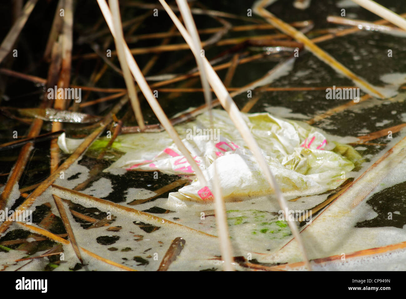 Szenen von Verschmutzung in natürlichen und Respektlosigkeit gegenüber der Ökologie Stockfoto