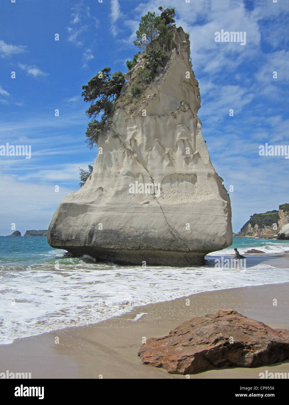 Te Whanganui-A-Hei oder Cathedral Cove auf der Coromandel Penisular, Neuseeland. Stockfoto