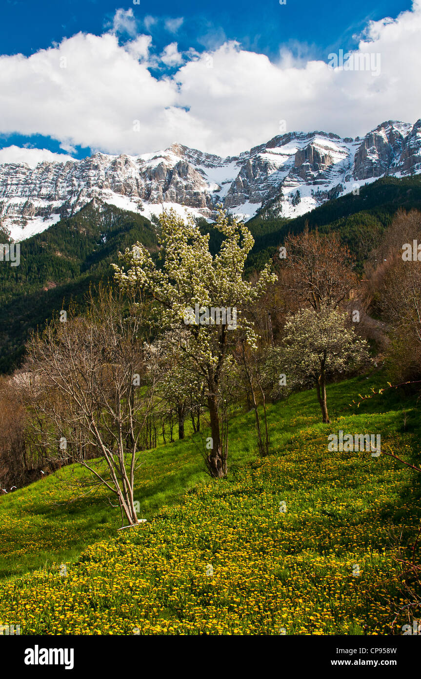 Panoramablick im Frühling über Serra de Cadi Berggruppe, Cerdanya, Katalonien, Spanien Stockfoto