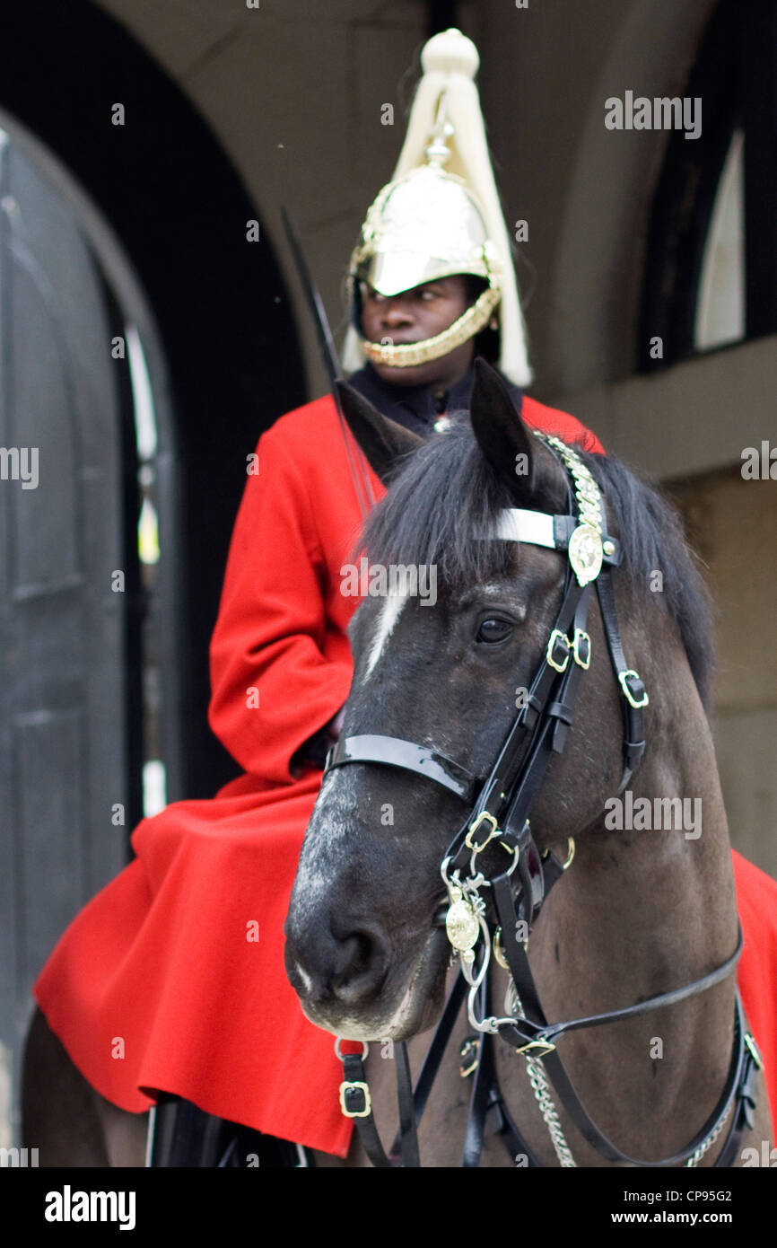 Eines der Königin von England Pferde auf der Hut an der Horse Guards London England Stockfoto