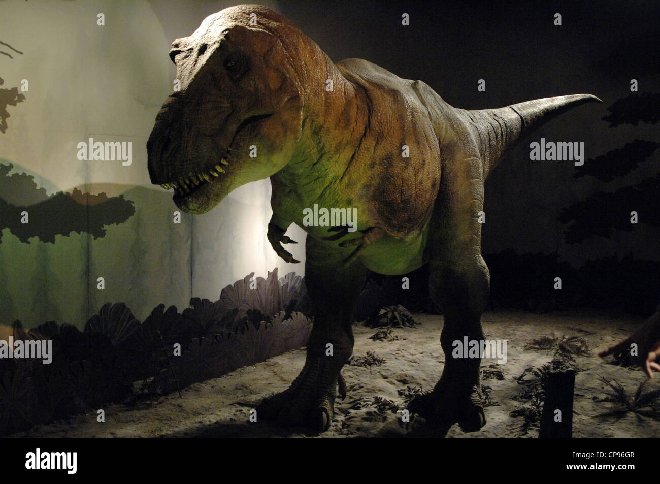 Reproduktion eines Tyrannosaurus Rex. Obere Kreide. Taxon. Natural History Museum. London. Vereinigtes Königreich. Stockfoto