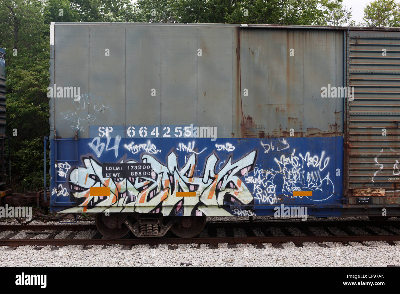 Graffiti auf Waggons geparkt verfolgt Bloomington, Indiana Westseite, street-Art zu schreiben Stockfoto
