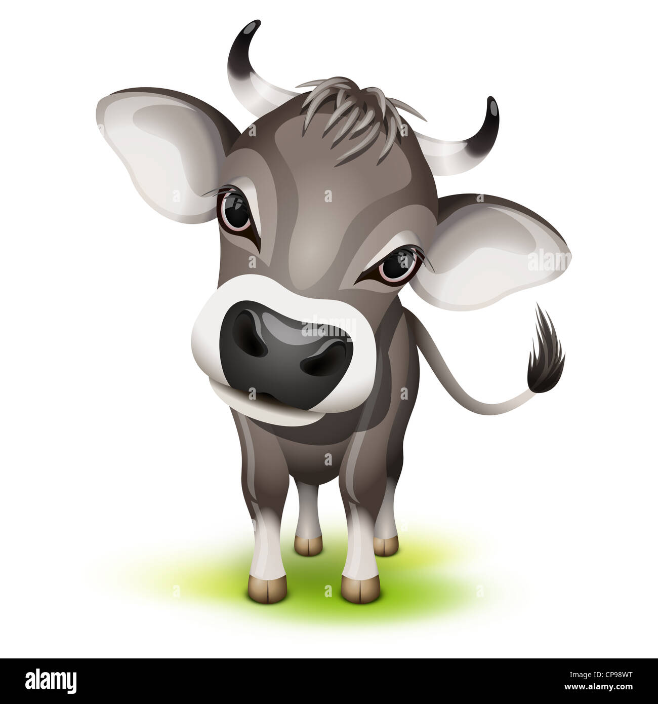 Kleine Schweizer Kuh mit einem gespannten Kopf Stockfoto