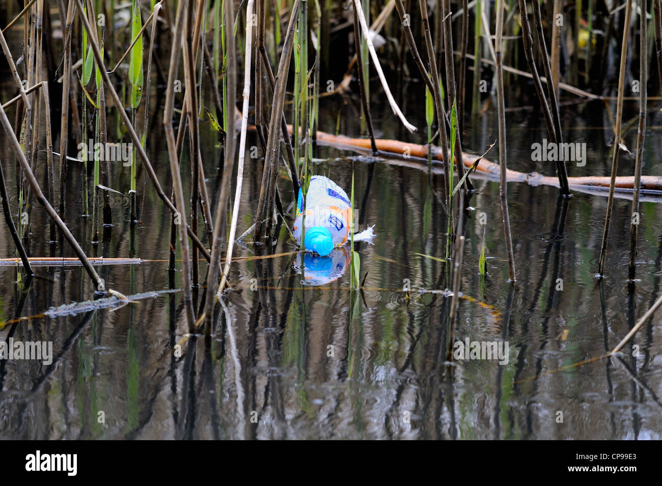 Leer und weggeworfenen Kunststoff trinkt Flasche unter Schilf in einem See schwimmen. Stockfoto