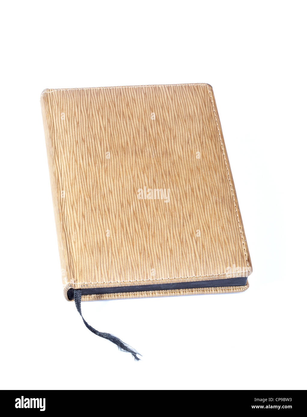 Braune Notebook mit einer Abdeckung aus einem aufgedruckten Haut auf weißem Hintergrund Stockfoto
