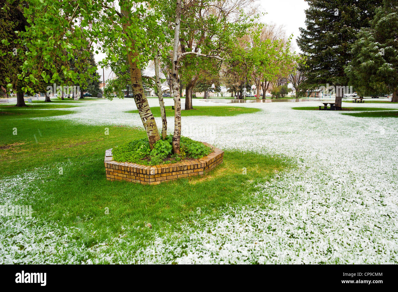 Früh kann Schneesturm, Alpine Park, die historische Altstadt, kleinen Berg Stadt Salida, Colorado, USA Bezirk Stockfoto