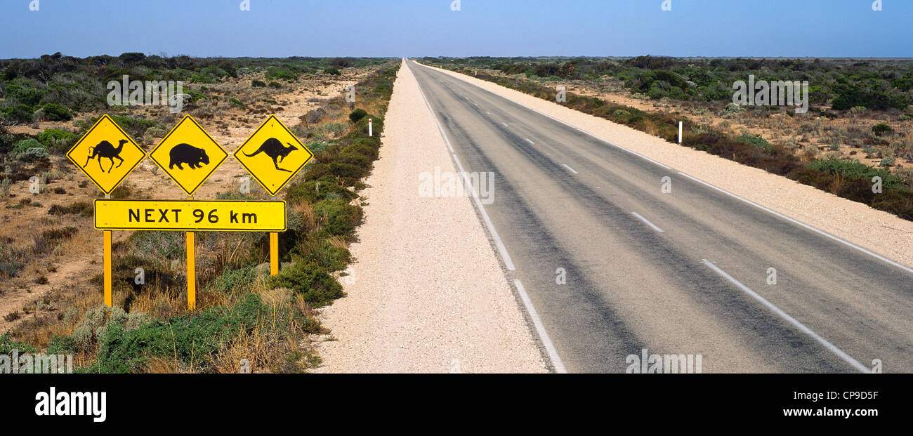Wildlife Crossing Zeichen am Eyre Highway, South Australia Stockfoto