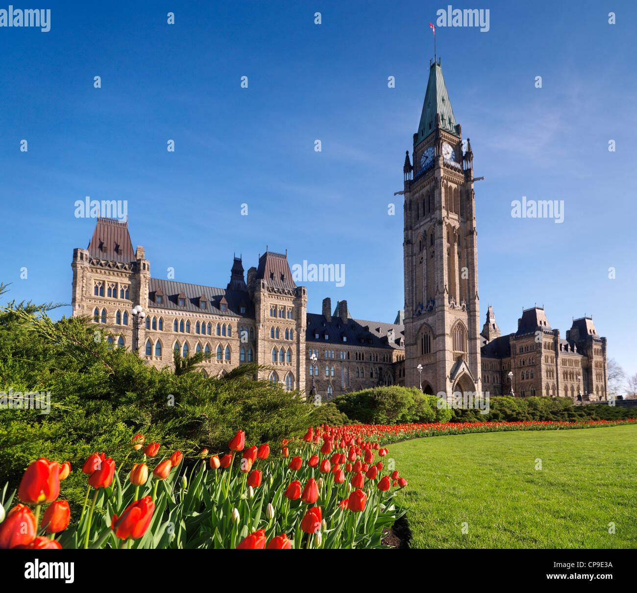 Rote Tulpen vor dem Parlamentsgebäude in Ottawa. Tulpenfest. Ontario, Kanada Frühling landschaftlich. Tulpen im Fokus Stockfoto