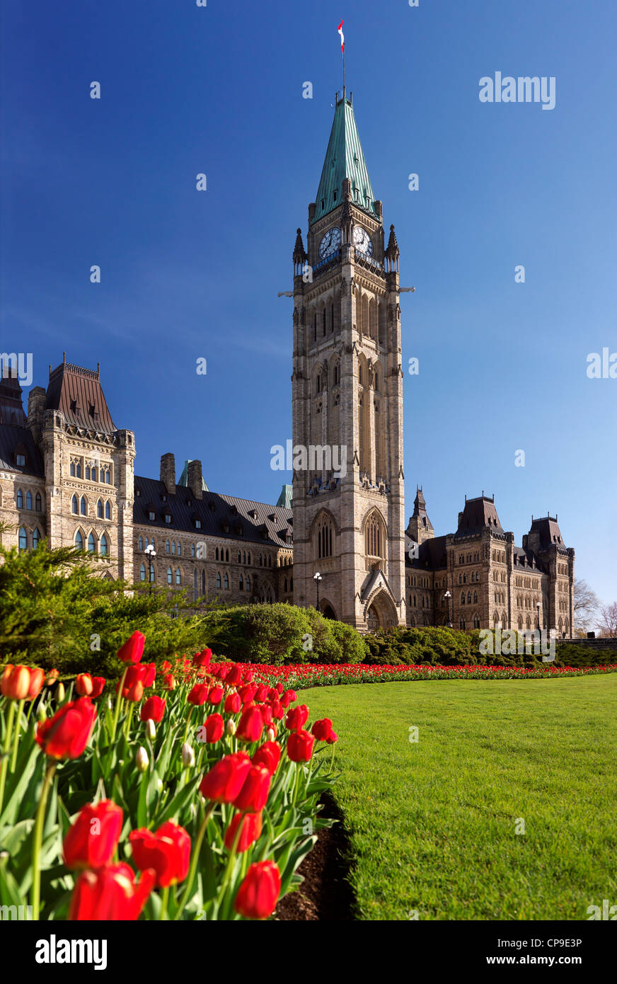 Tulpen vor dem Parlamentsgebäude in Ottawa. Tulpenfest. Ontario, Kanada Frühling landschaftlich Mai 2012 Stockfoto