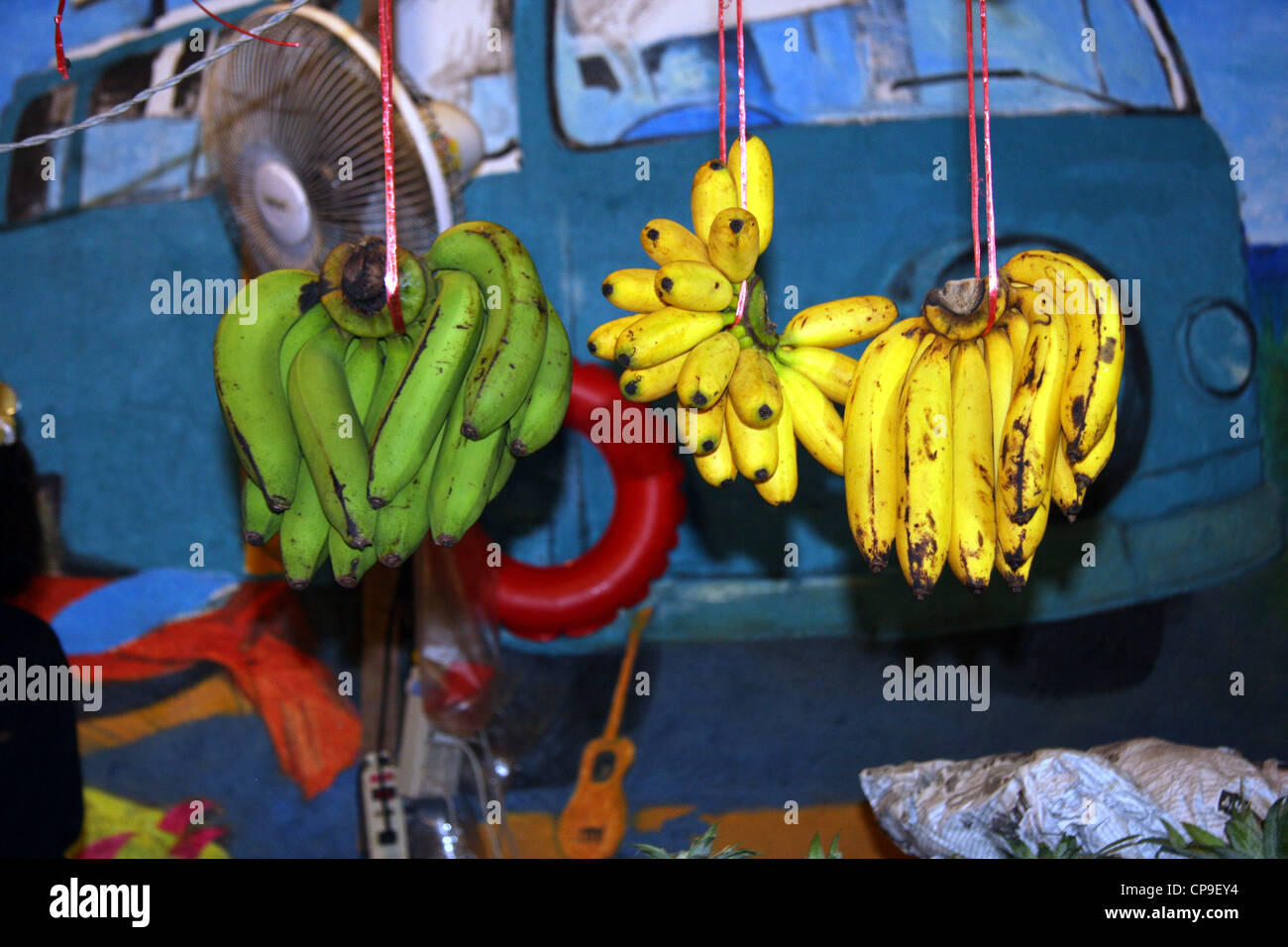 Trauben von Bananen Aufhängen in Outdoor-Gemüsehändler in Phuket, Thailand  Stockfotografie - Alamy