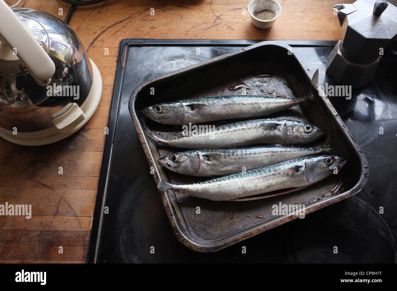 Frisch gefangen und ausgenommene Cornish Makrele bereit zum Kochen Stockfoto