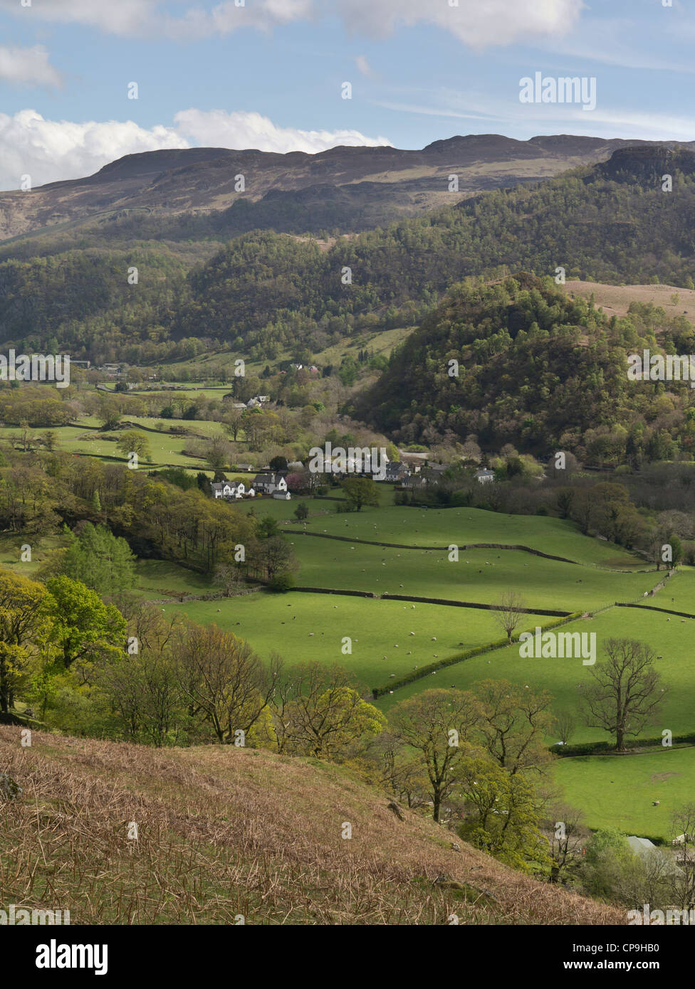 Mit Blick auf das schöne Tal von Borrowdale Weiler Grange und Bleaberry fiel im englischen Lake District, Cumbria Stockfoto