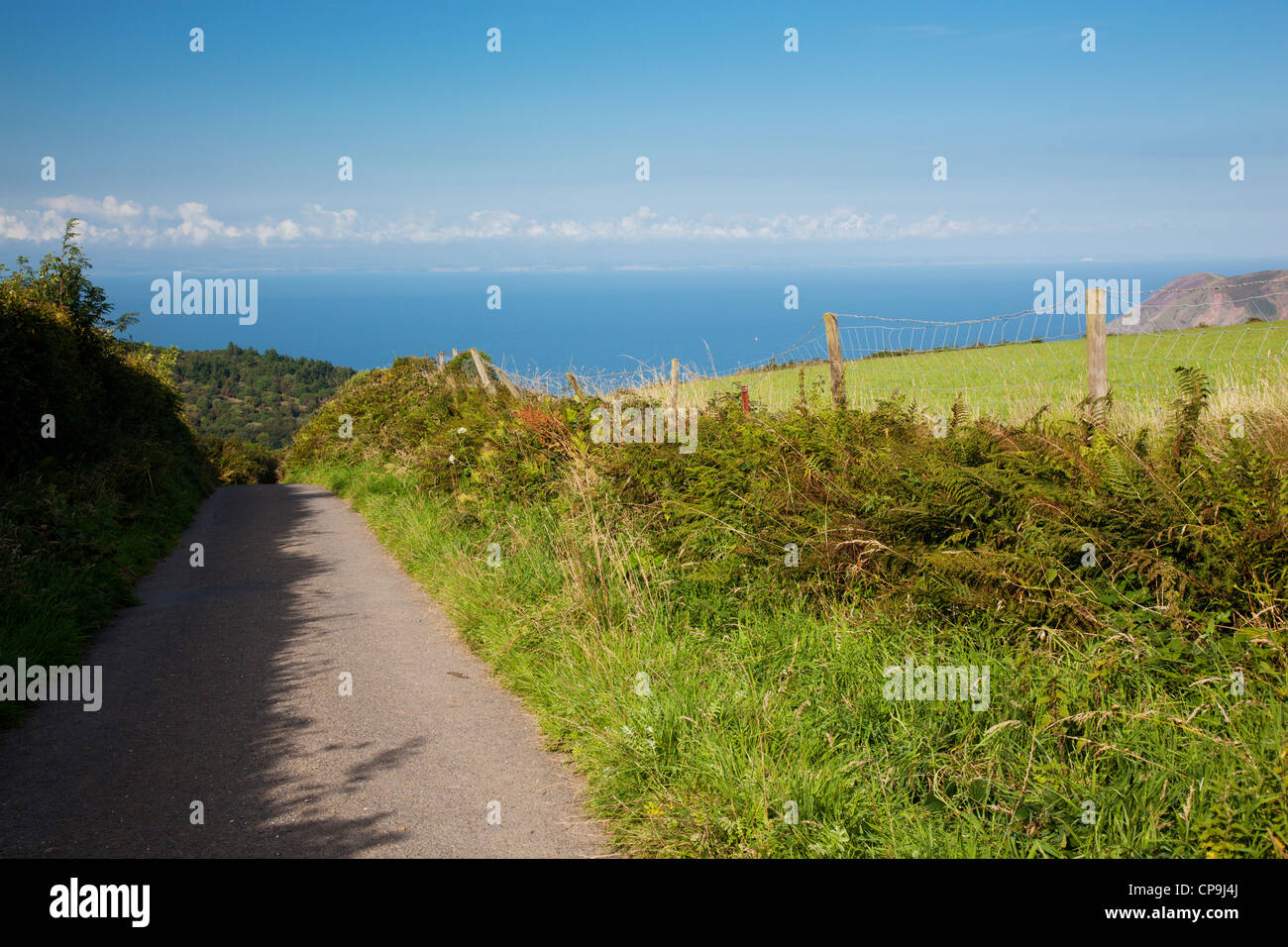 Zeigen Sie auf einer einspurigen Landstraße mit Hecken beidseitig mit Blick auf das Meer an. Stockfoto
