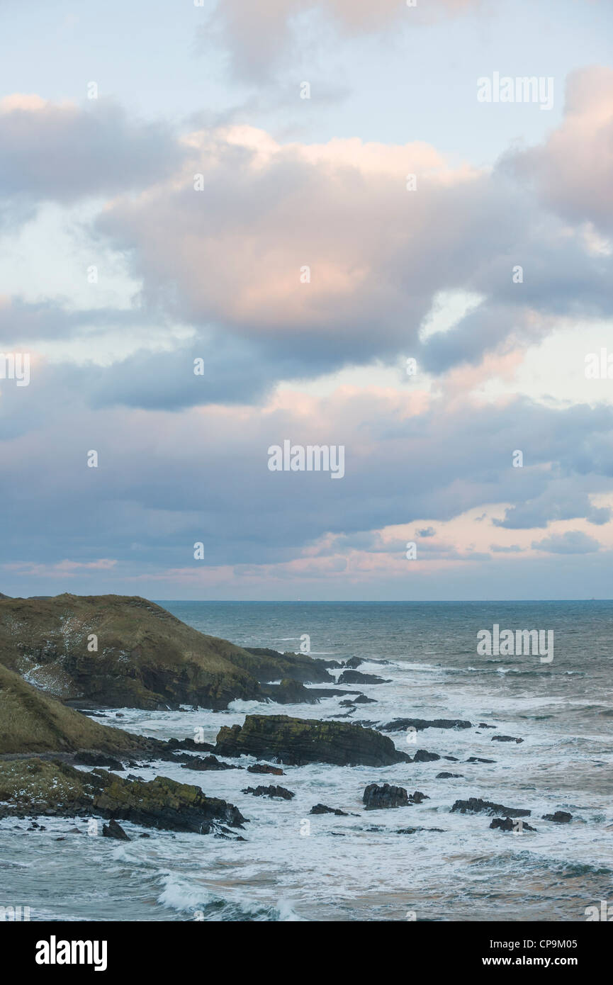 Blick nach Norden entlang der Küste von Aberdeenshire in der Nähe von Stonehaven, Forvie National Nature Reserve, Aberdeenshire, Schottland, UK Stockfoto