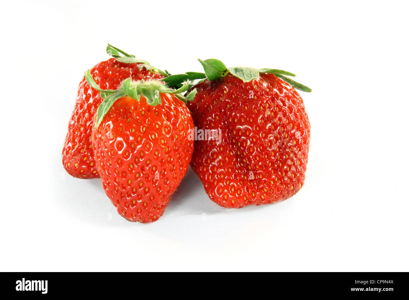 Frische Erdbeeren auf weißem Hintergrund Stockfoto