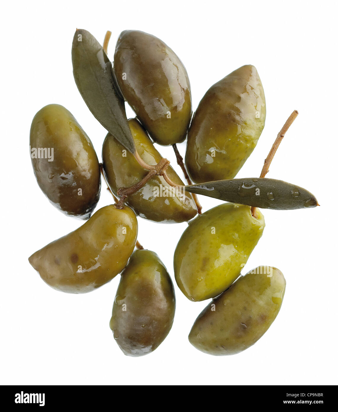 Grünen Lucques Oliven und Blätter Stockfoto