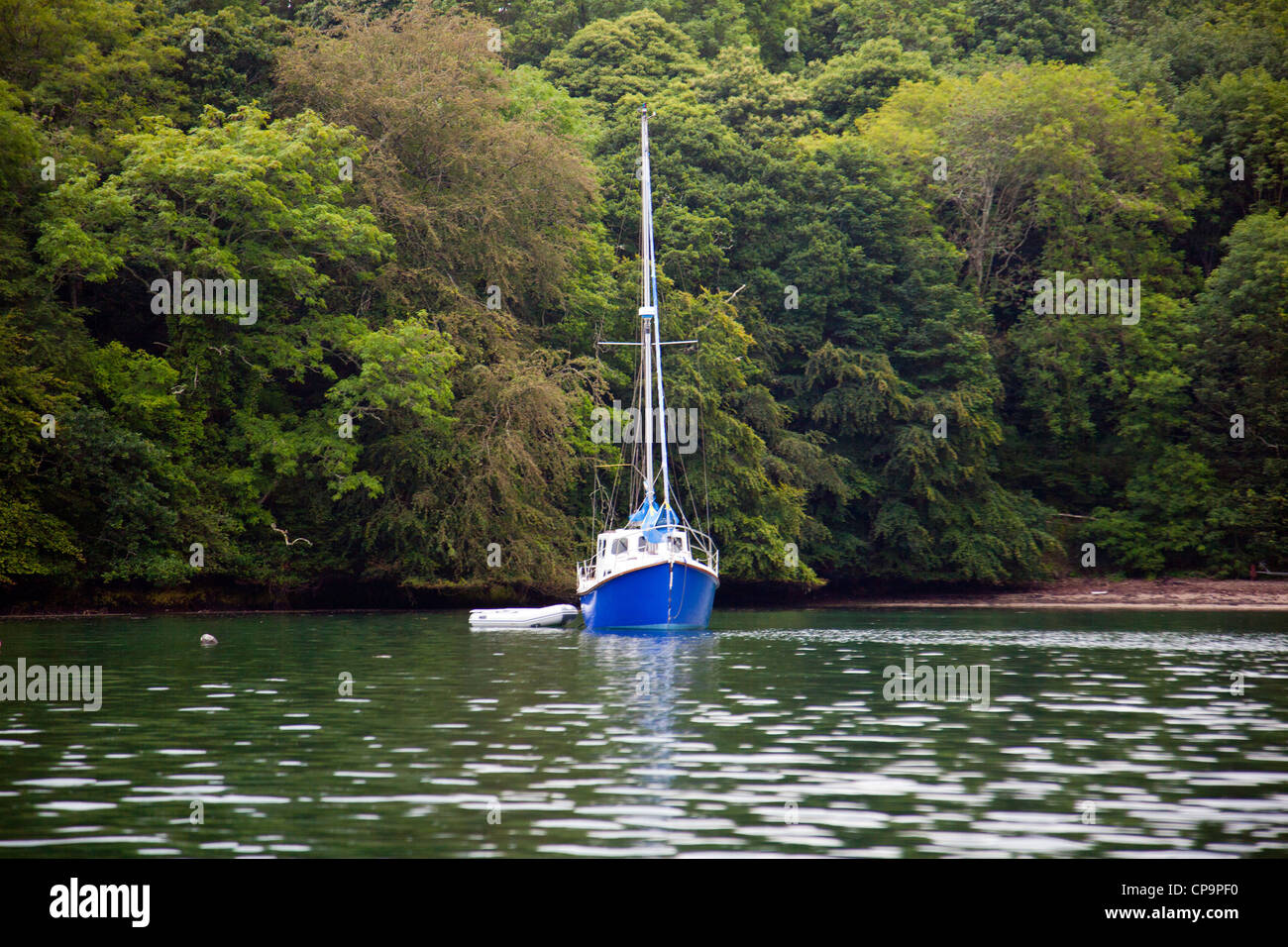 Eine kleine Yacht vor Anker in einer Bucht des Helford River Cornwall England UK Stockfoto