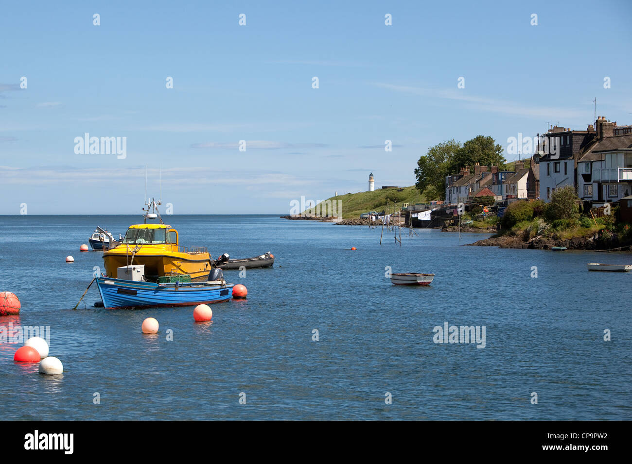 Angelboote/Fischerboote vertäut im Hafen von Montrose. Stockfoto