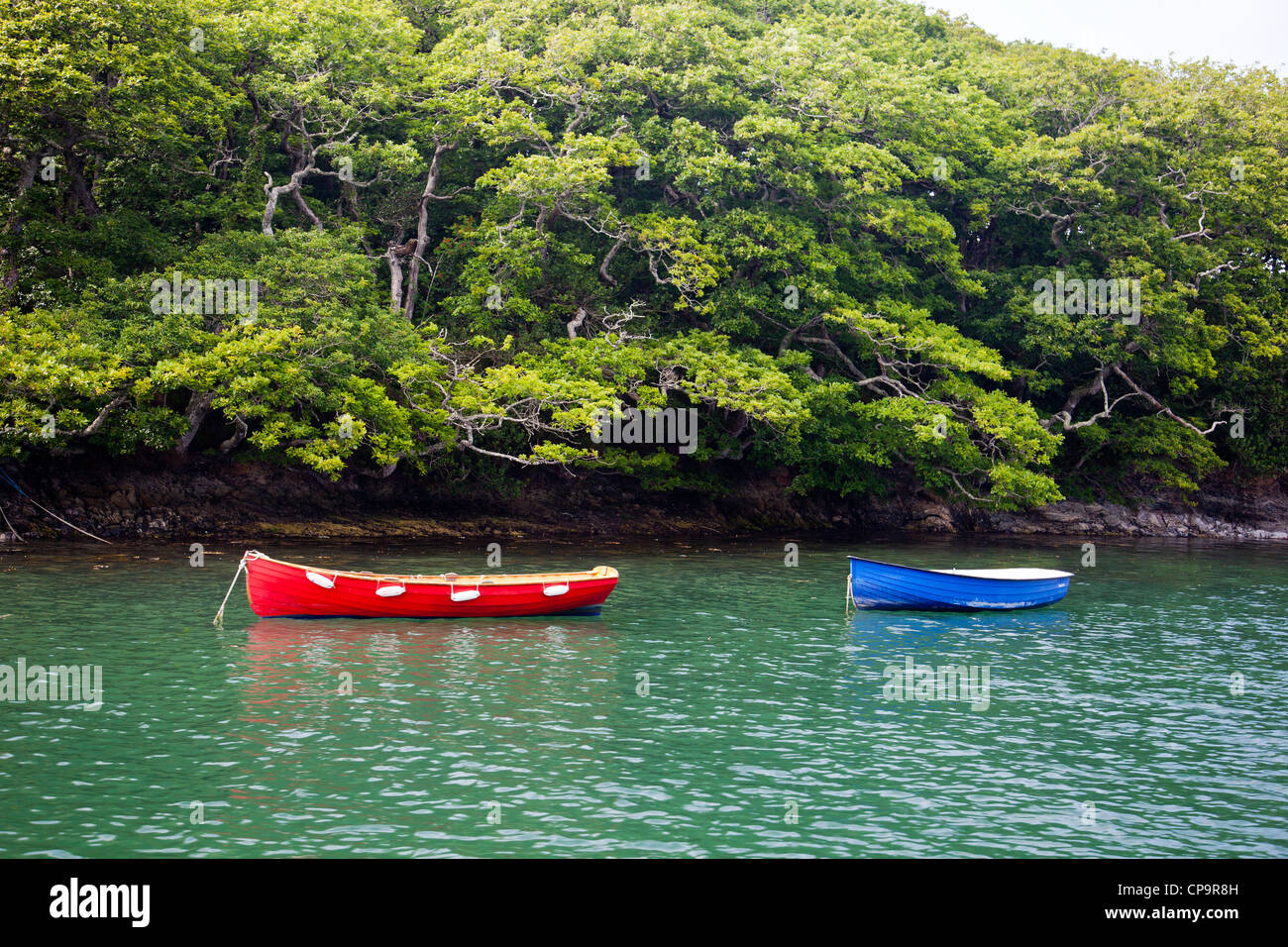 Zwei kleine bunte Ruderboote vor Anker in einer Bucht des Helford River Cornwall England UK Stockfoto