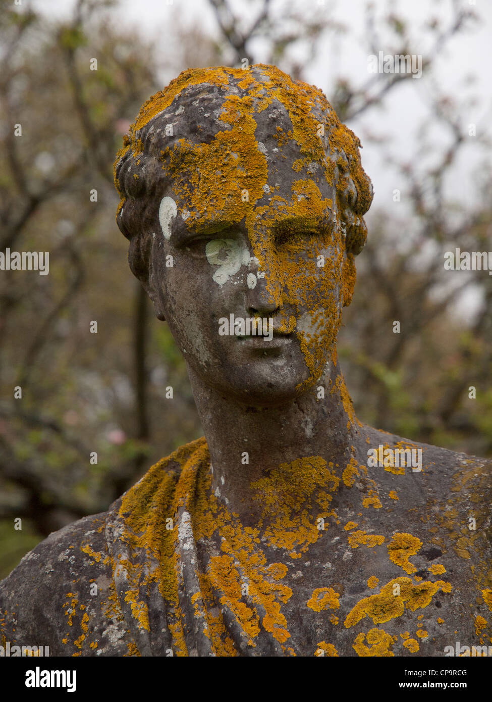 Lee miller penrose Fotos und Bildmaterial in hoher Auflösung Alamy