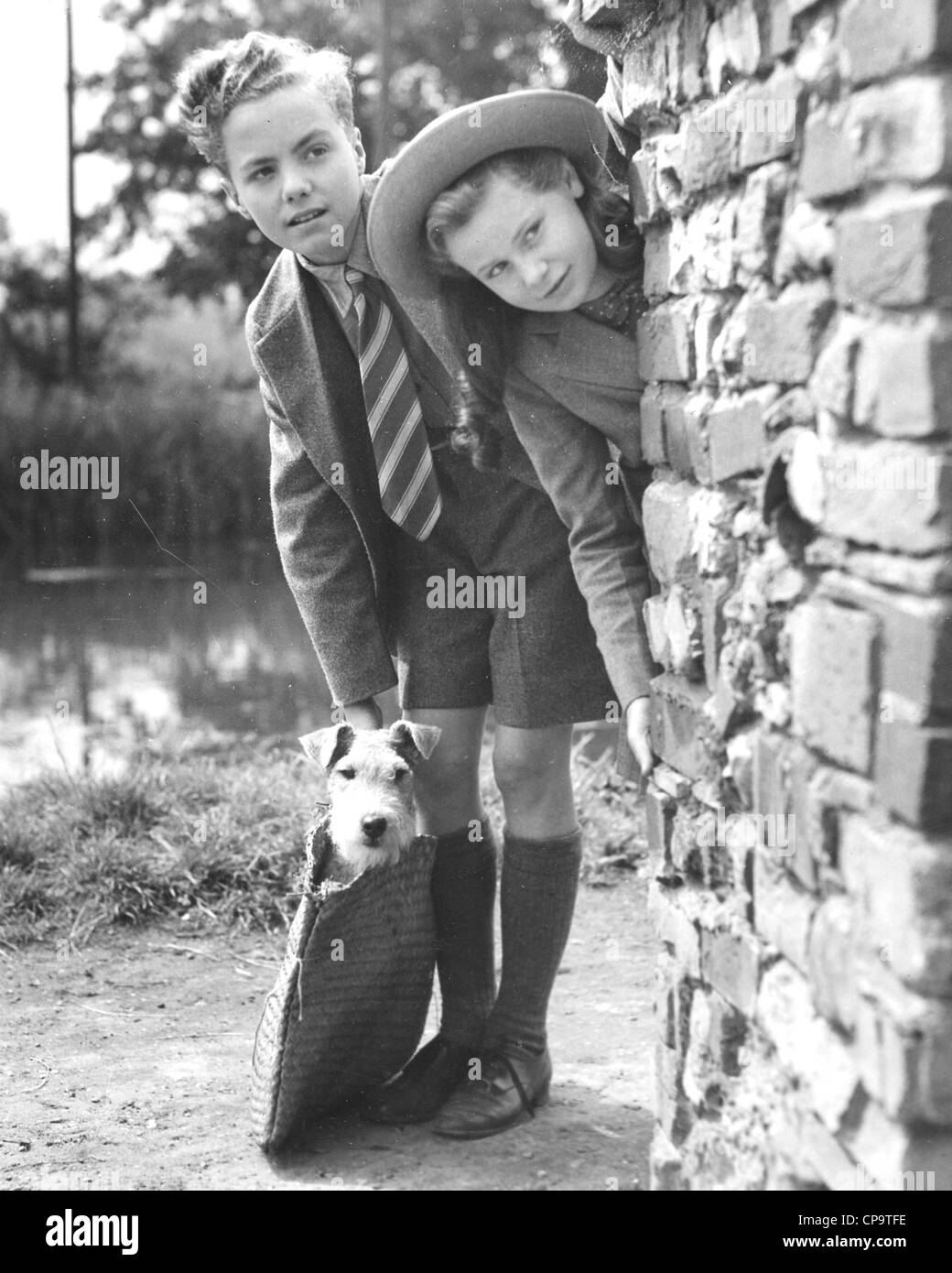 Haustier Hund Werbung noch aus nicht identifizierten Gainsborough Film über 1948 Stockfoto