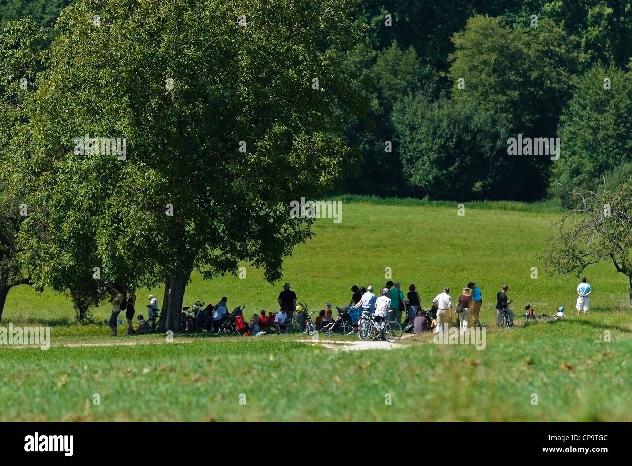 Radfahrer und Fußgänger Zuschauer unter Bäumen Schatten Stockfoto