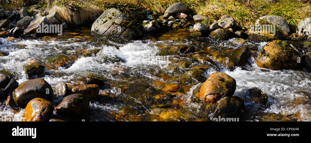 Gebirgsbach von Cairngorm, Glen mehr, Aviemore, Highland, Schottland, UK Stockfoto