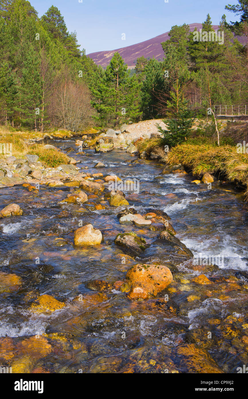 Gebirgsbach von Cairngorm, Glen mehr, Aviemore, Highland, Schottland, UK Stockfoto