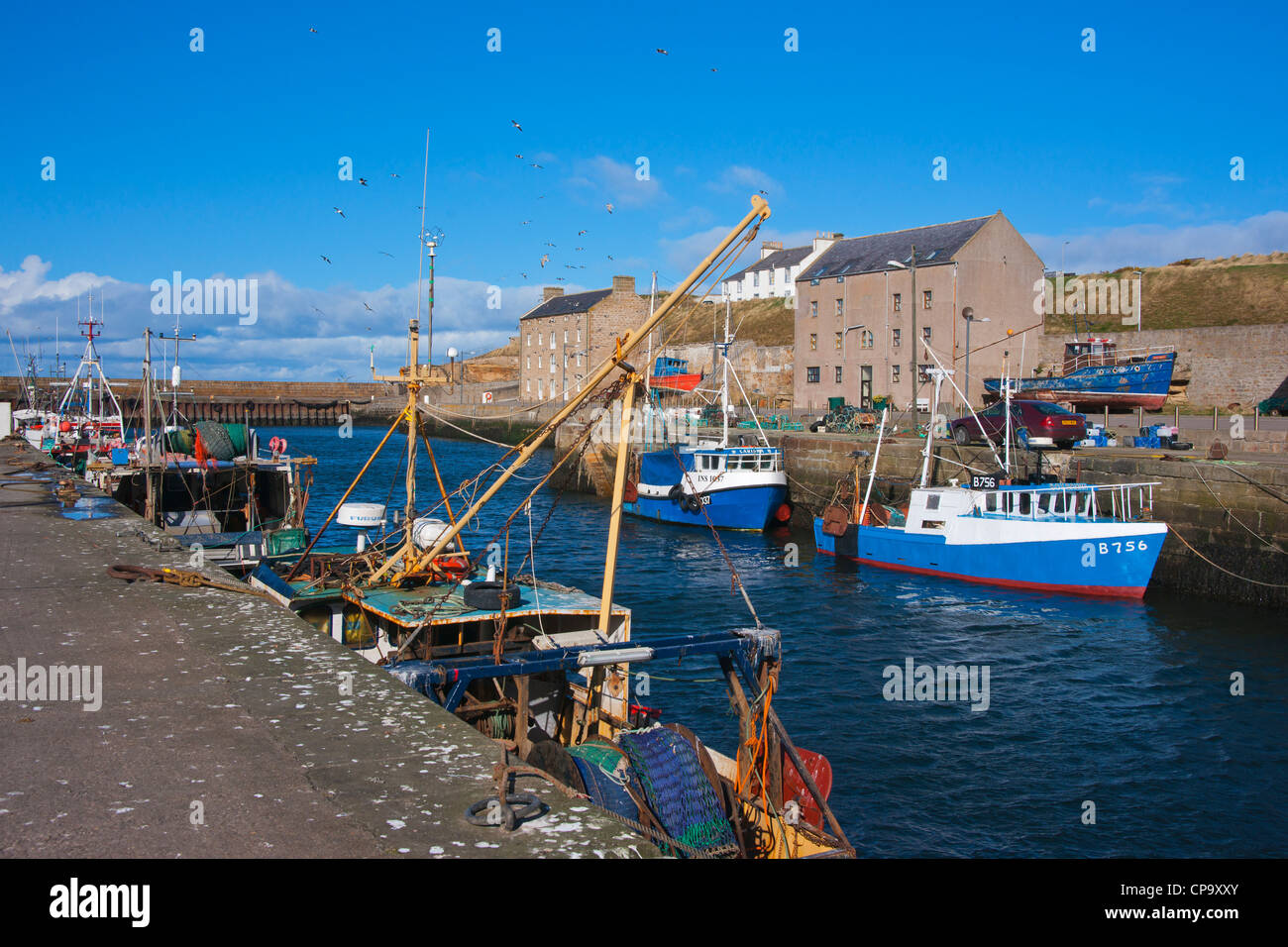 Burghead Hafen, Moray Firth, Schottland Stockfoto